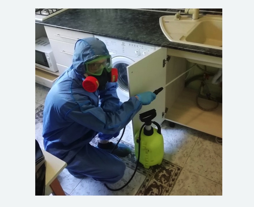 обработка от муравьев в квартире обработка от муравьев в квартире в Мценске