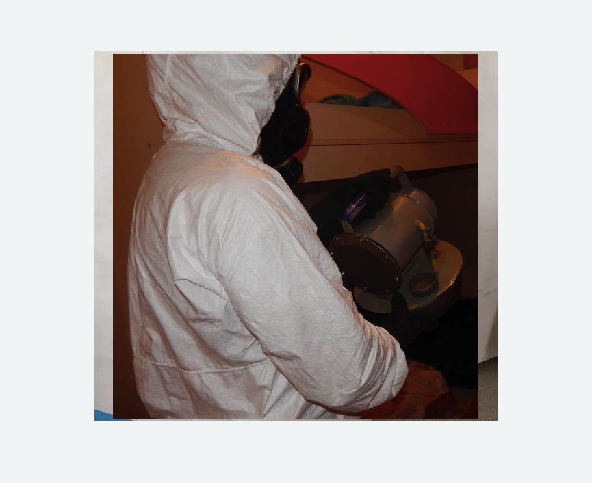 Дезинфекция от муравьев Дезинфекция от муравьев в Мценске