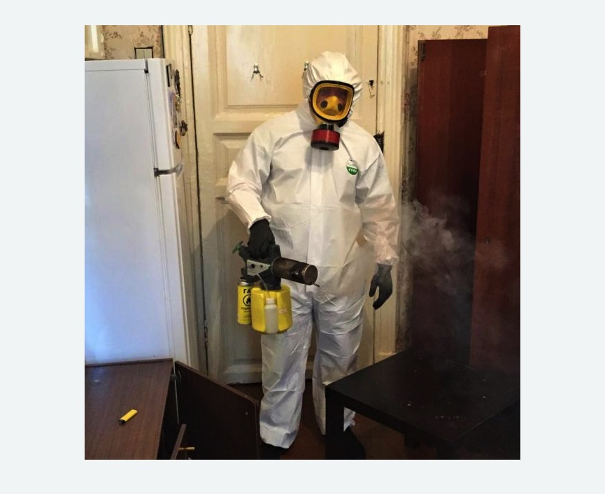 уничтожение муравьев в квартире уничтожение муравьев в квартире в Мценске